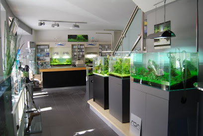 Zoo Flottmann, Frankfurt am Main