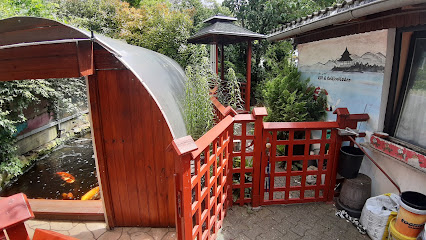 Alfreds Koi und Goldfischladen, Frankfurt am Main