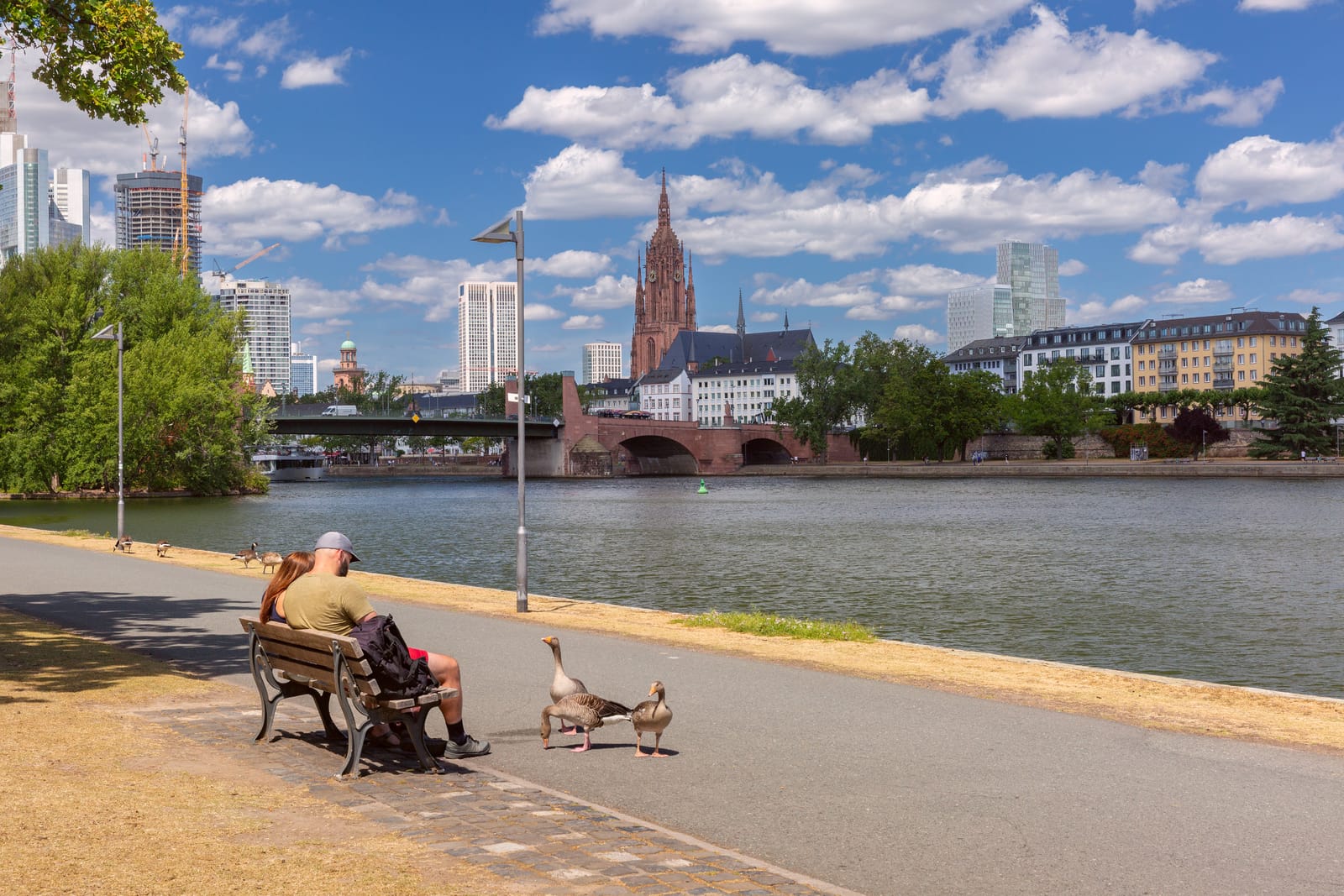 Spaziergänger auf einer Bank am Mainufer, dahinter Alte Brücke und Dom