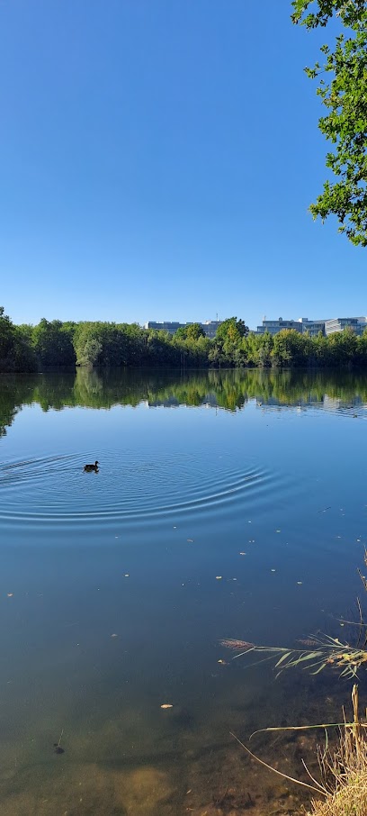 Staudenweiher, Frankfurt am Main