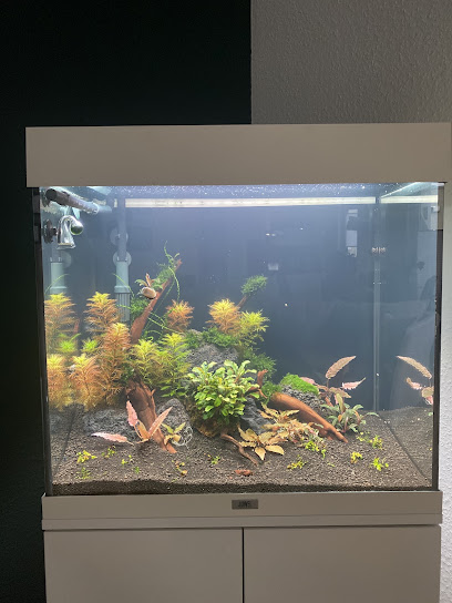 Shrimpfarm-Frankfurt, Frankfurt am Main