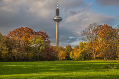 Grüneburgpark, Frankfurt am Main