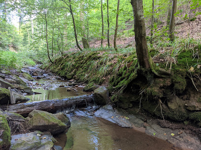 Rückersbacher Schlucht, Frankfurt am Main