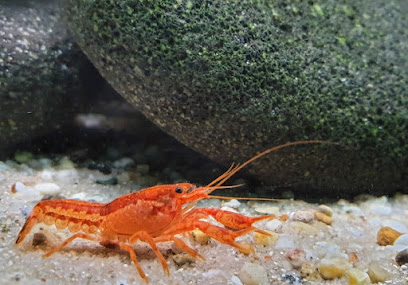 Aquarium Dietzenbach GmbH, Frankfurt am Main